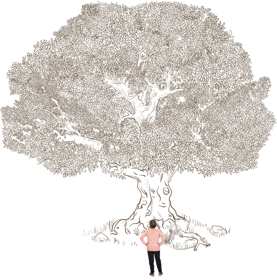 Asset-1@3x-1.png
