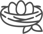 Group-14.png