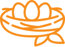 Vector-3.png
